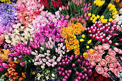 《消逝的光芒2》配置需求：开光追最低要RTX2070